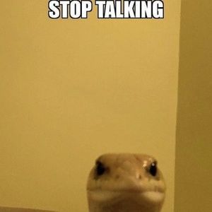 Meet your Posher, Nigel